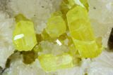 Sulfur Crystals on Fluorescent Aragonite - Italy #129094-2